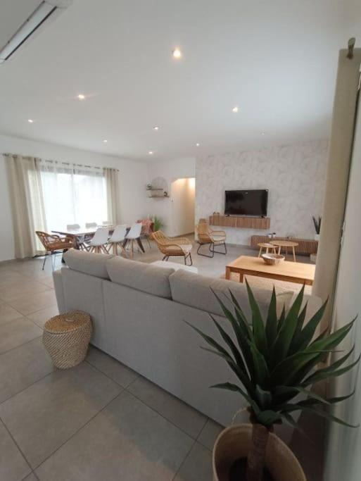 Villa Des Rives Du Tarn Avec Jacuzzi Montans Extérieur photo