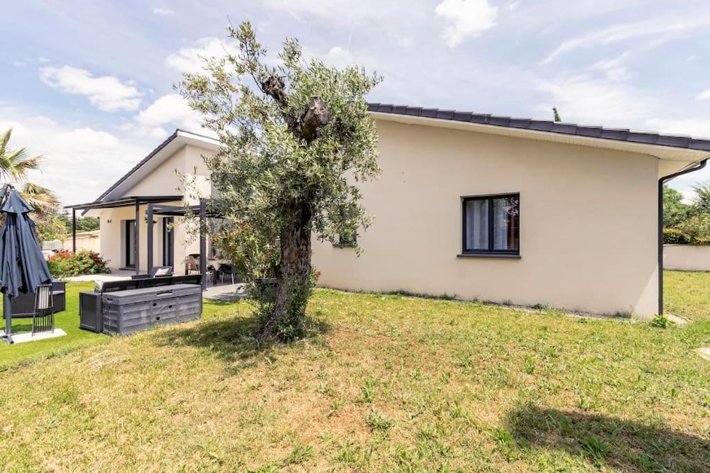 Villa Des Rives Du Tarn Avec Jacuzzi Montans Extérieur photo